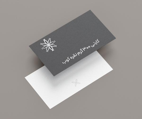 کارتی 300 گرم نقره کوب.png